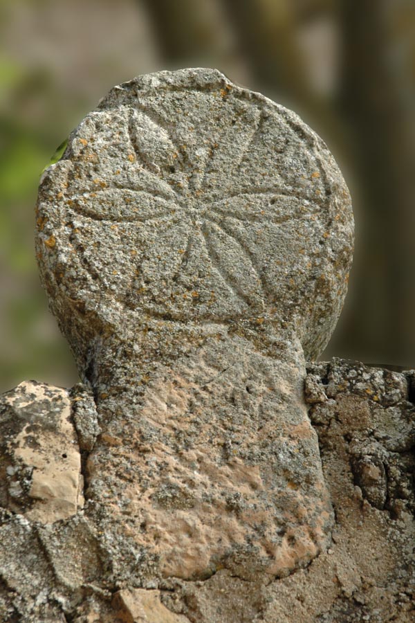 El record dels avantpassats