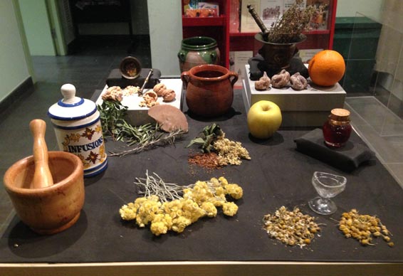 Cada herba té la seva virtut