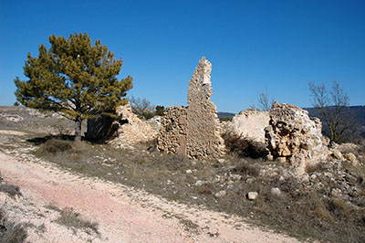 XI Trobada de Centres d'Estudis a Riudoms