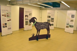 Carrutxa col·labora amb el Parc Natural de Montsant en la recuperació de l’activitat ramadera